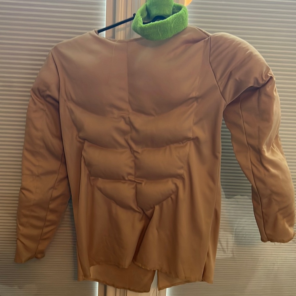 Boys muscle costume